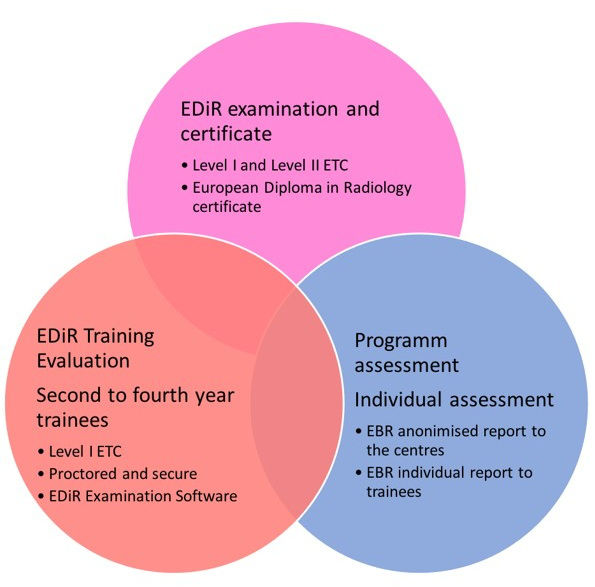 The chart shows how the training evaluation scheme will work.